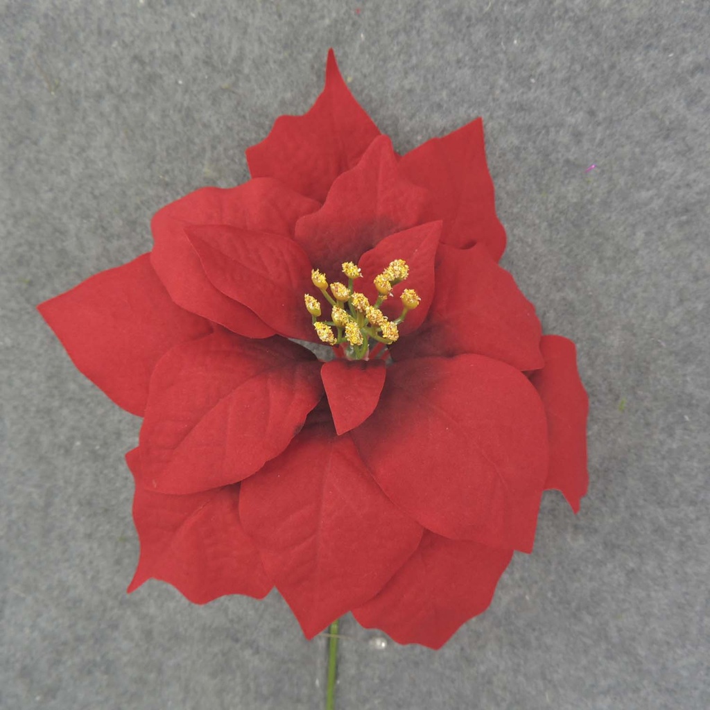 POINSETTIA PICK 10" DIA. VELVET RED (1 DZ/BAG)