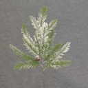 PINE HEMLOCK & CONE SPRAY 20.5"