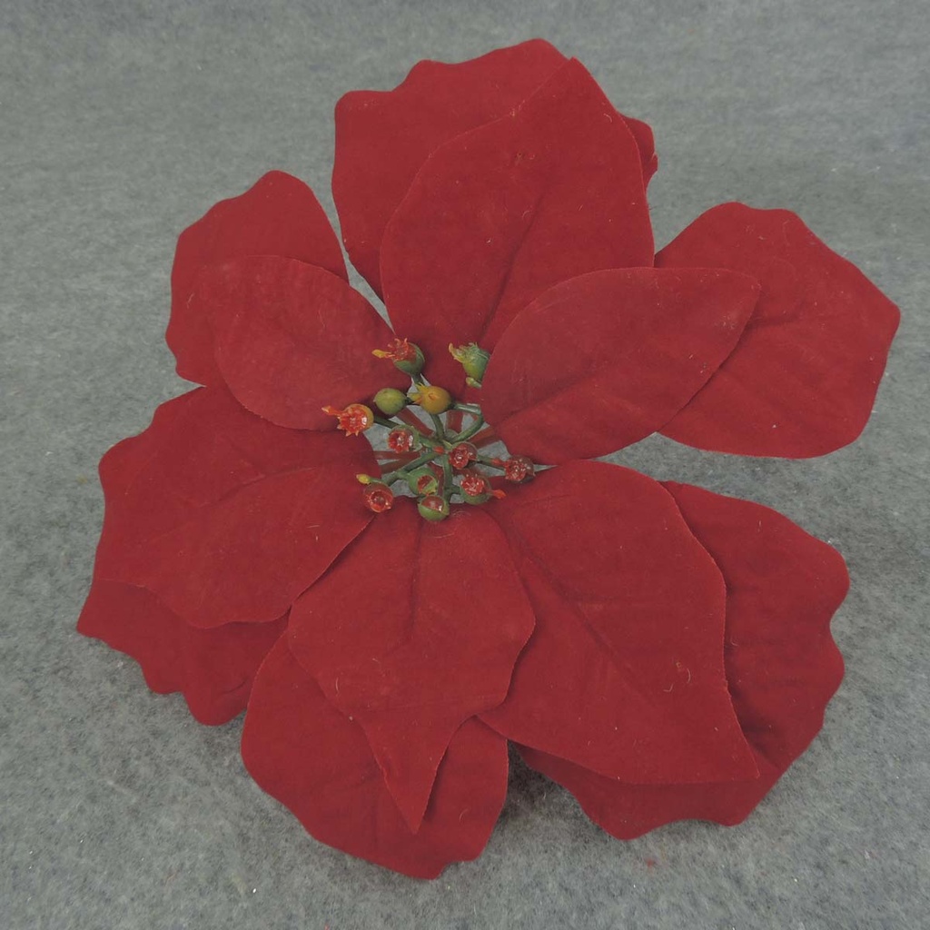 POINSETTIA PICK 8" M/P