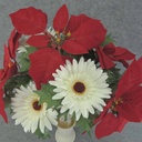 POINSETTIA/GERBERA/HOLLY BUSH X14 18.5" RED&WHT