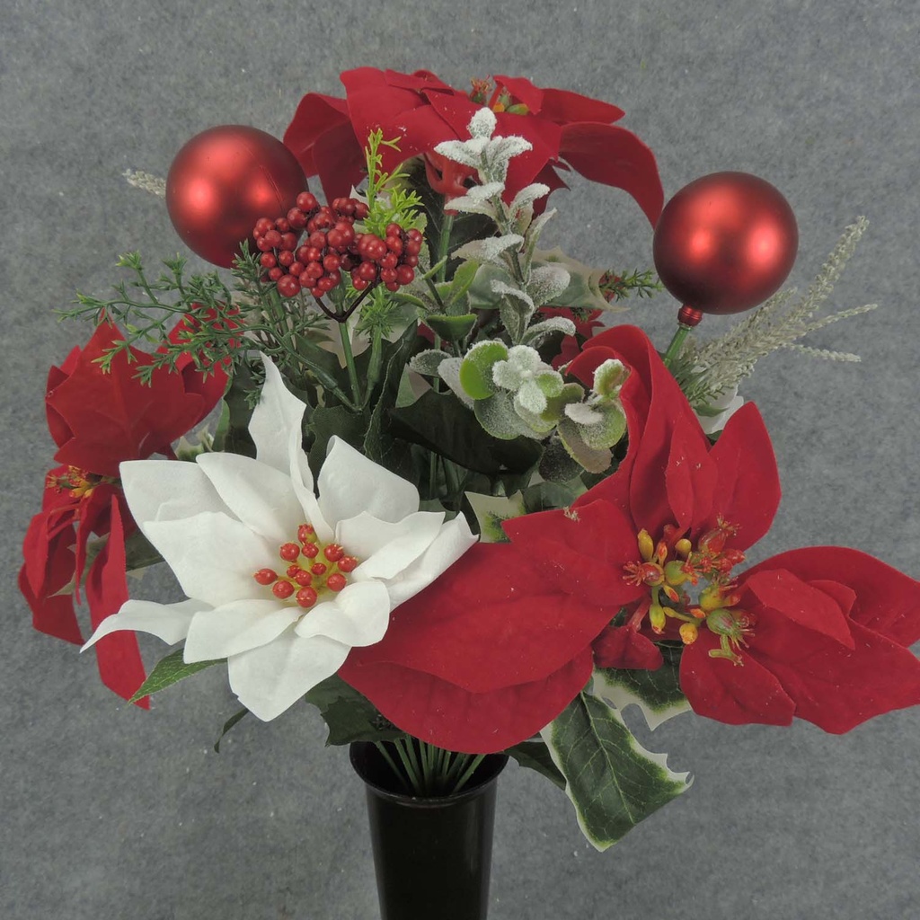 POINSETTIA/PINE/BALL BUSH IN/CON