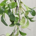 MISTLETOE BUSH X7 W/BRANCH 11"