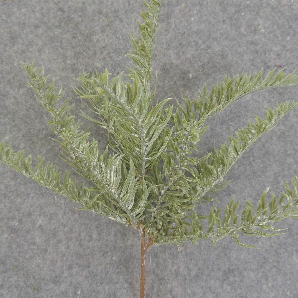 PINE PICK W/SNOW 12"