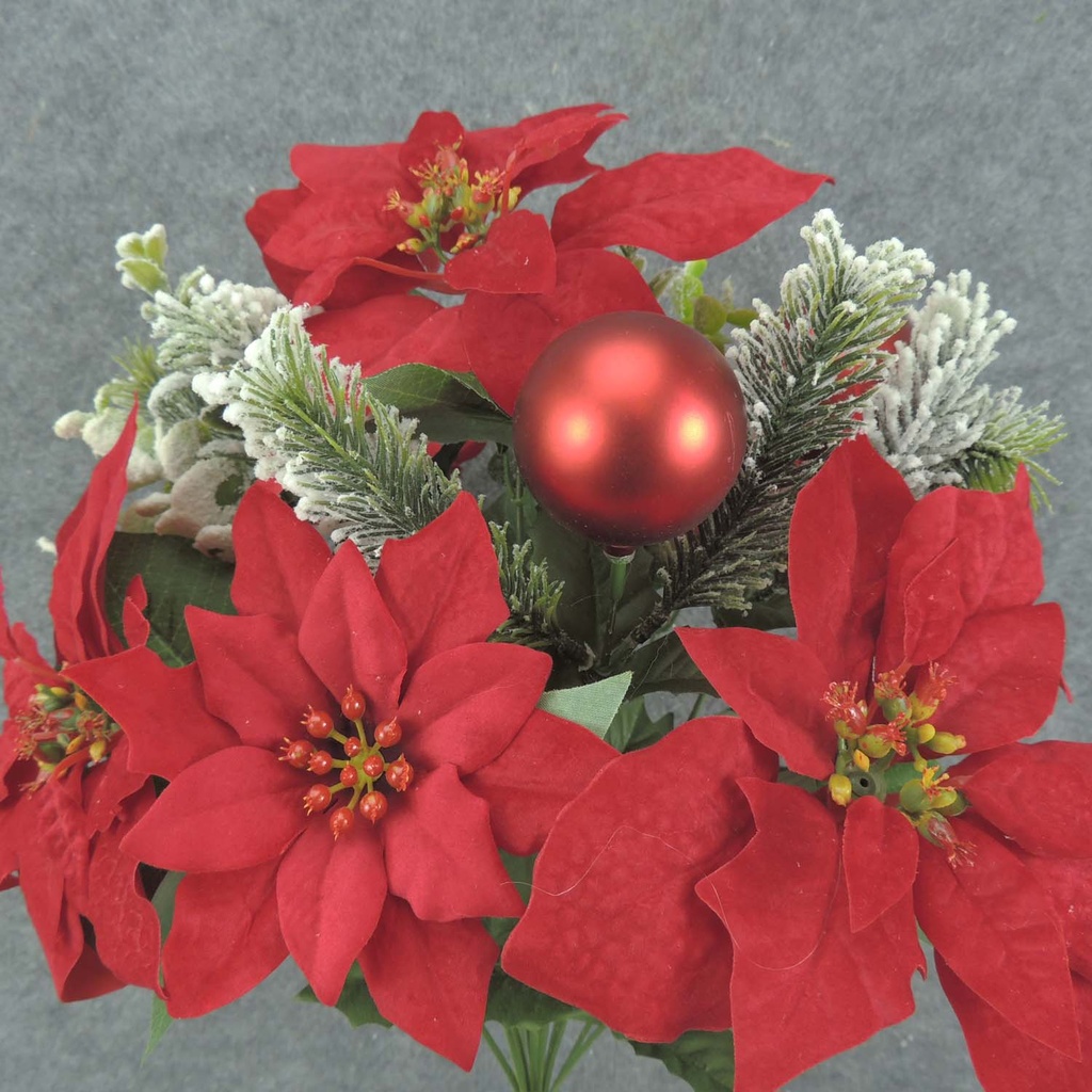 POINSETTIA MIXED BUSH 19" X12