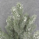 PISTOL PINE BUSH X6 20" W/ICE