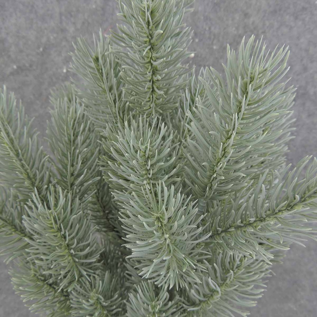 PINE BUSH X6 19" (51 TIPS)