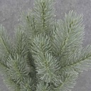 PINE BUSH X6 19" (51 TIPS)