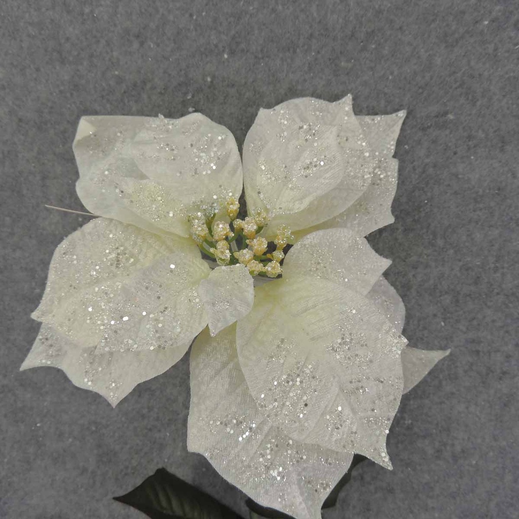 POINSETTIA STEM (10"dia) 26" W/ LEAVES CREAM