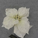 POINSETTIA STEM (10"dia) 26" W/ LEAVES CREAM
