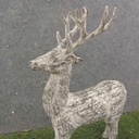 REINDEER STANDING 13" ART.BARK