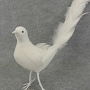 18&quot; STANDING DOVE WITH LONG FEATHER TAIL  WHITE
