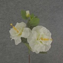 HIBISCUS SPRAY 28" CREAM/WHITE