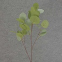 EUCALYPTUS SPRAY X6 30&quot; SILK