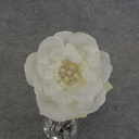 ROSE PICK 10" W/CENTER GEM CREAM/WHITE