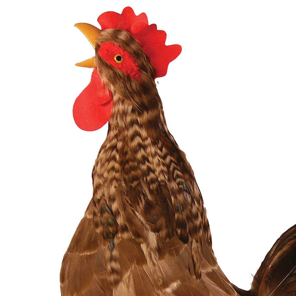 19" NATURAL CROWING ROOSTER