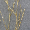 TWIG SPRAY W/GLITTER 4/BAG 24"  GOLD