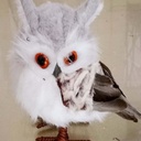 OWL STANDING 6.25" FUZZY WHITE W/FEATHER TAIL