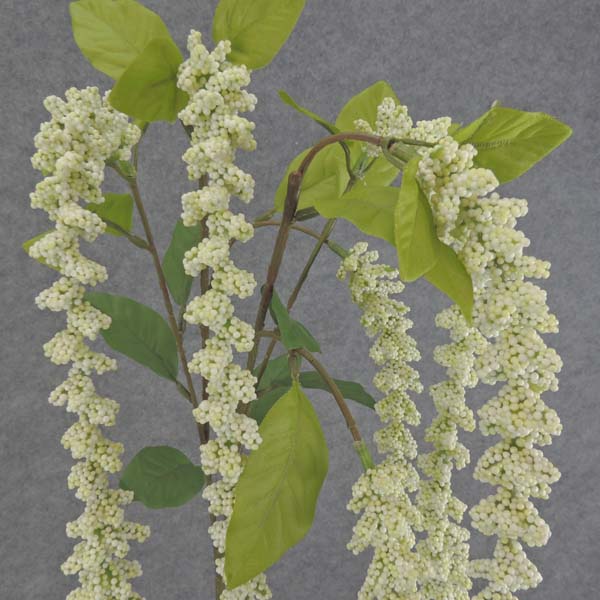 AMARANTHUS HANGING SPRAY X6 40"  CREAM