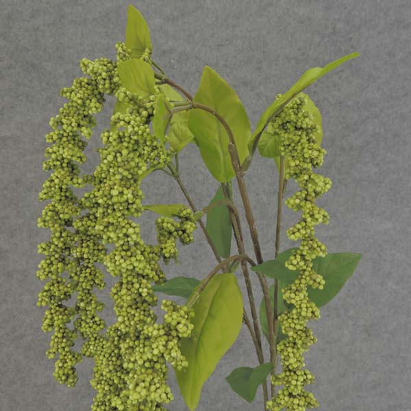 AMARANTHUS HANGING SPRAY X6 40"  GREEN