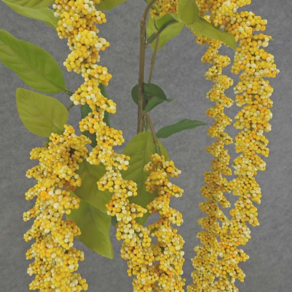 AMARANTHUS HANGING SPRAY X6 40"  YELLOW