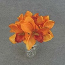 CYMBIDIUM BUNDLE X7 10" SILK  ORANGE