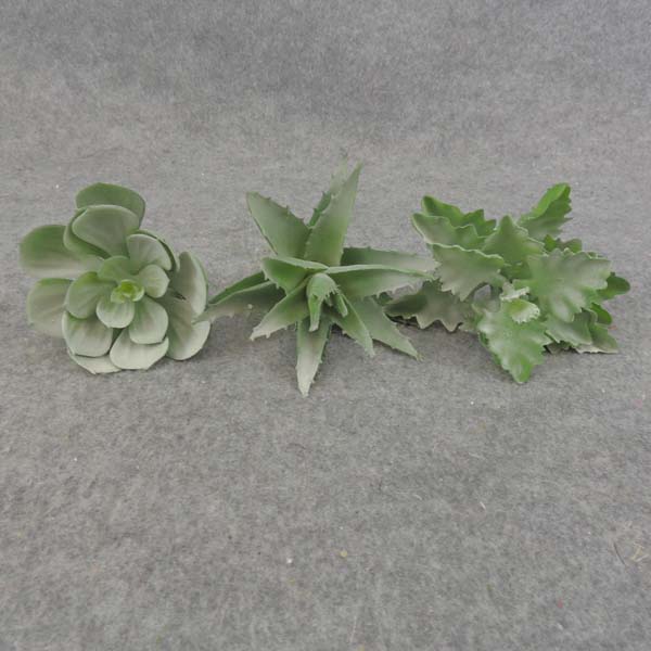 SUCCULENT PICK ASST (3/BAG)      DUSTY GREEN