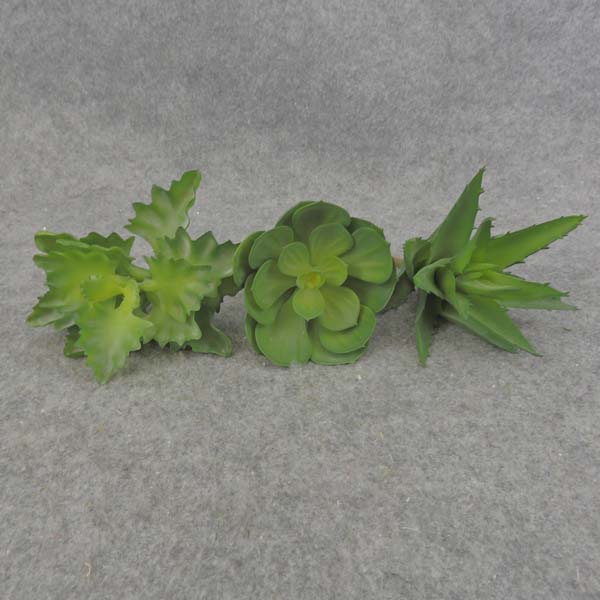 SUCCULENT PICK ASST (3/BAG)      GREEN