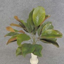 MAGNOLIA LEAF BUSH 18.5"