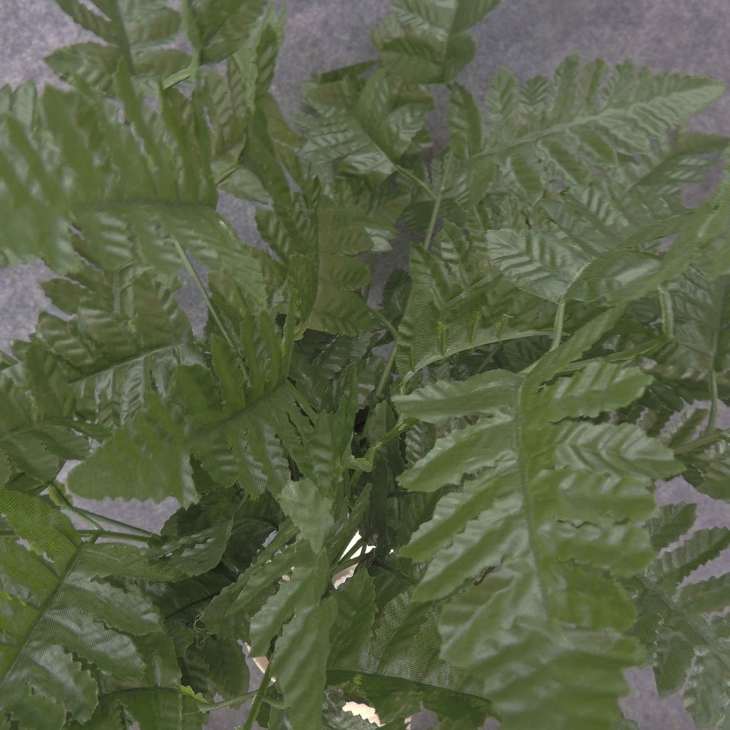 LEATHER LEAF FERN BUSH X12 16"