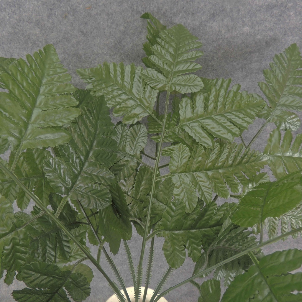 LEATHER LEAF FERN BUSH X12 19"