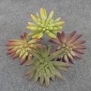 SUCCULENT PICK 3.5" (8/BAG) 4-ASST