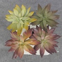 SUCCULENT PICK 4" (8/BAG)  4-ASST 4"dia