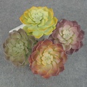 SUCCULENT PICK 3.5" 8/BAG 4"d 4-ASST HEN/CHICK