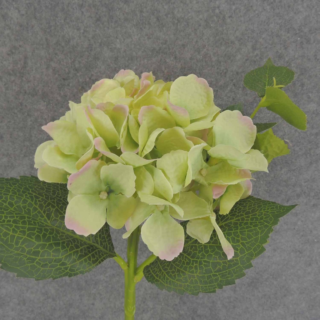 HYDRANGEA STEM 15" W/LEAVES  LIGHT GREEN/PURPLE