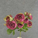 RANUNCULUS MINI SPRAY X10 22"  BURGUNDY/GREEN