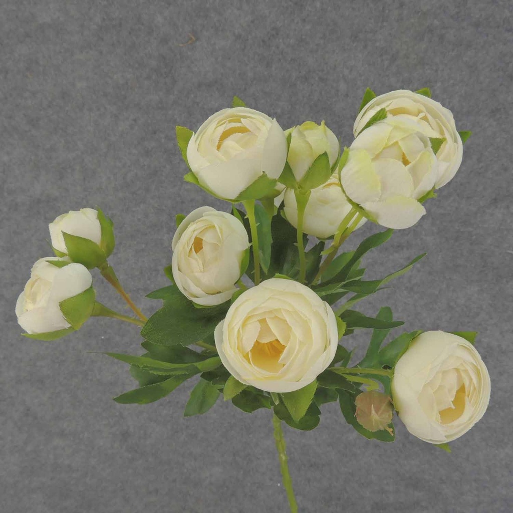 RANUNCULUS MINI SPRAY X10 22"  CREAM/WHITE