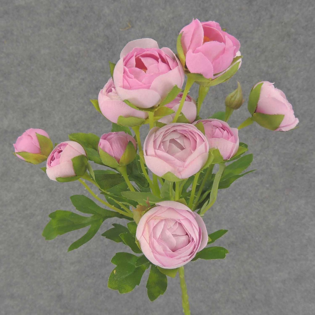 RANUNCULUS MINI SPRAY X10 22"  LIGHT PINK