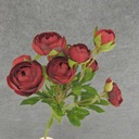 RANUNCULUS MINI SPRAY X10 22"  RED