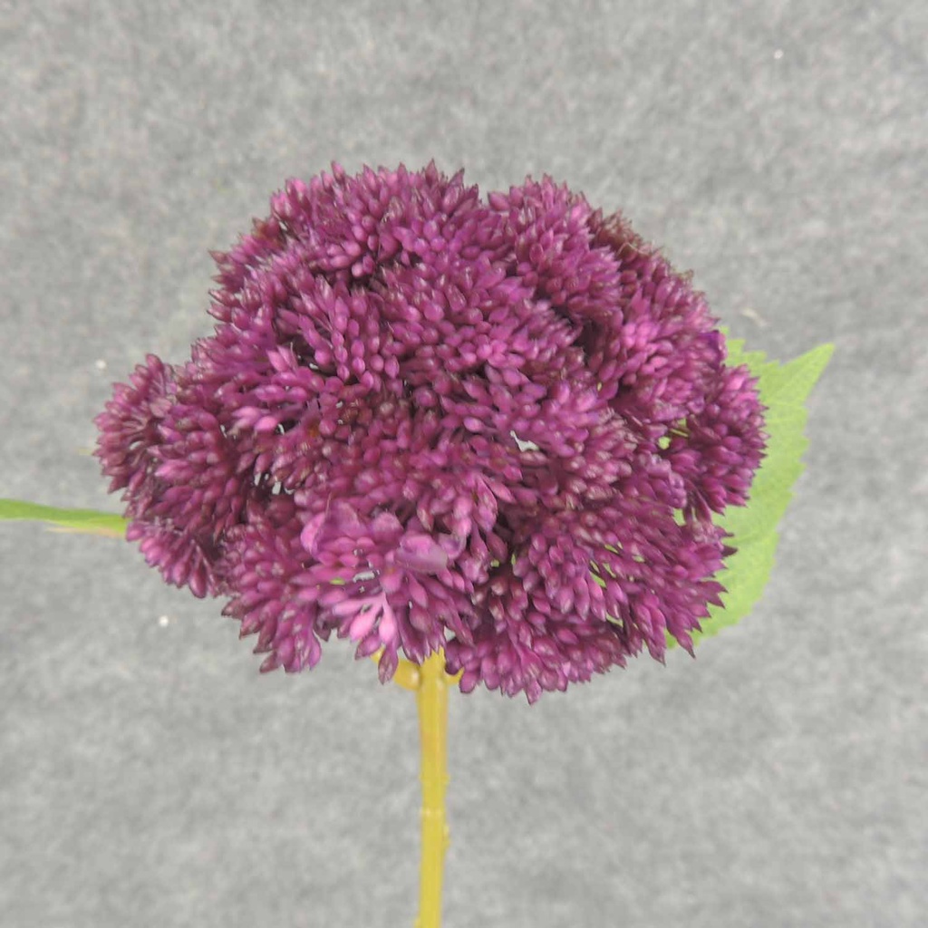 SEDUM STEM 15"  PURPLE
