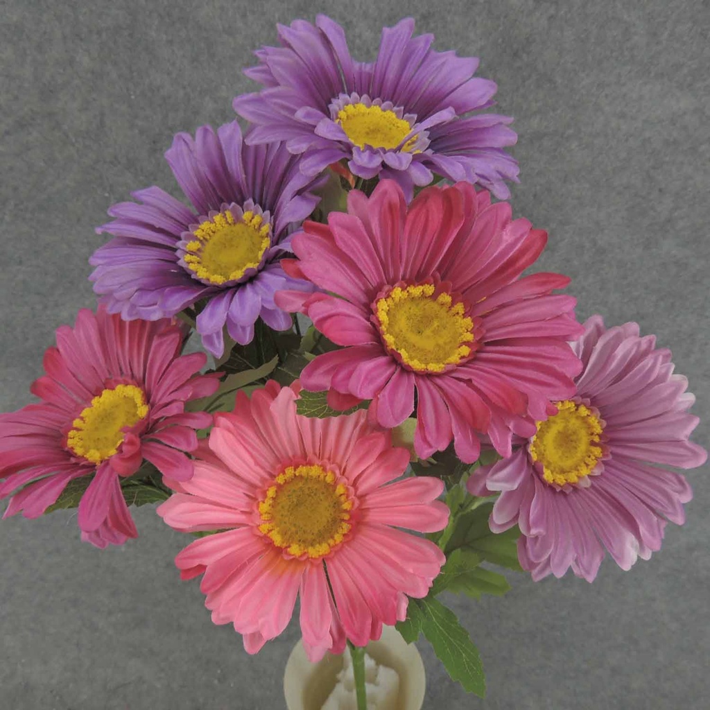 DAISY/GERB BUSH X10 19" 4"dia  PINK/BEAUTY/PURPLE