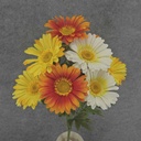 DAISY/GERB BUSH X10 19" 4"dia  YELLOW/ORANGE