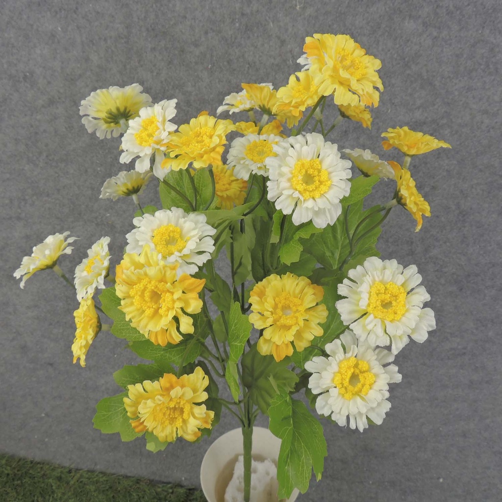 ZINNIA BUSH X10 19"  YELLOW/CREAM