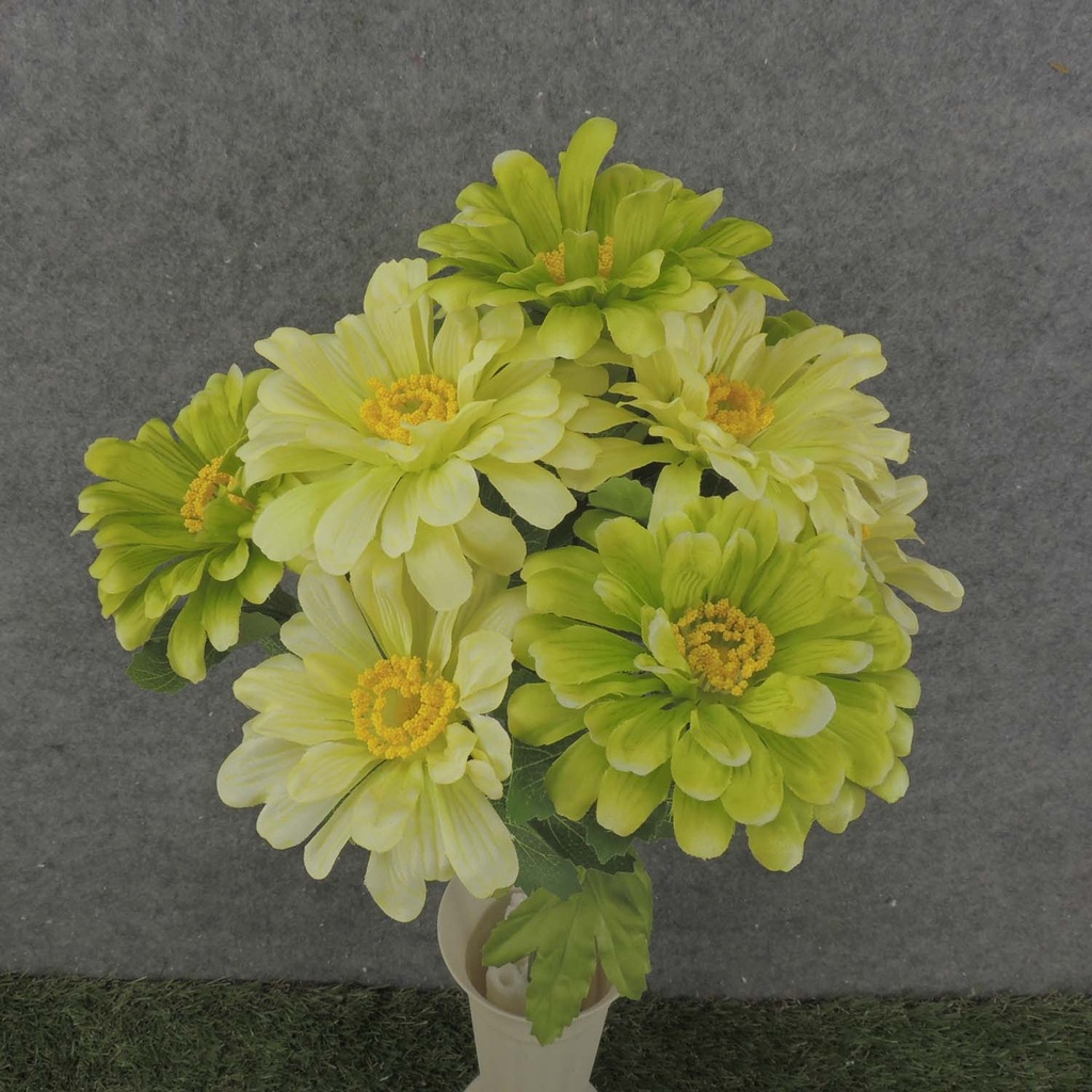 ZINNIA BUSH X10 17"  GREEN