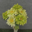 ZINNIA BUSH X10 17"  GREEN