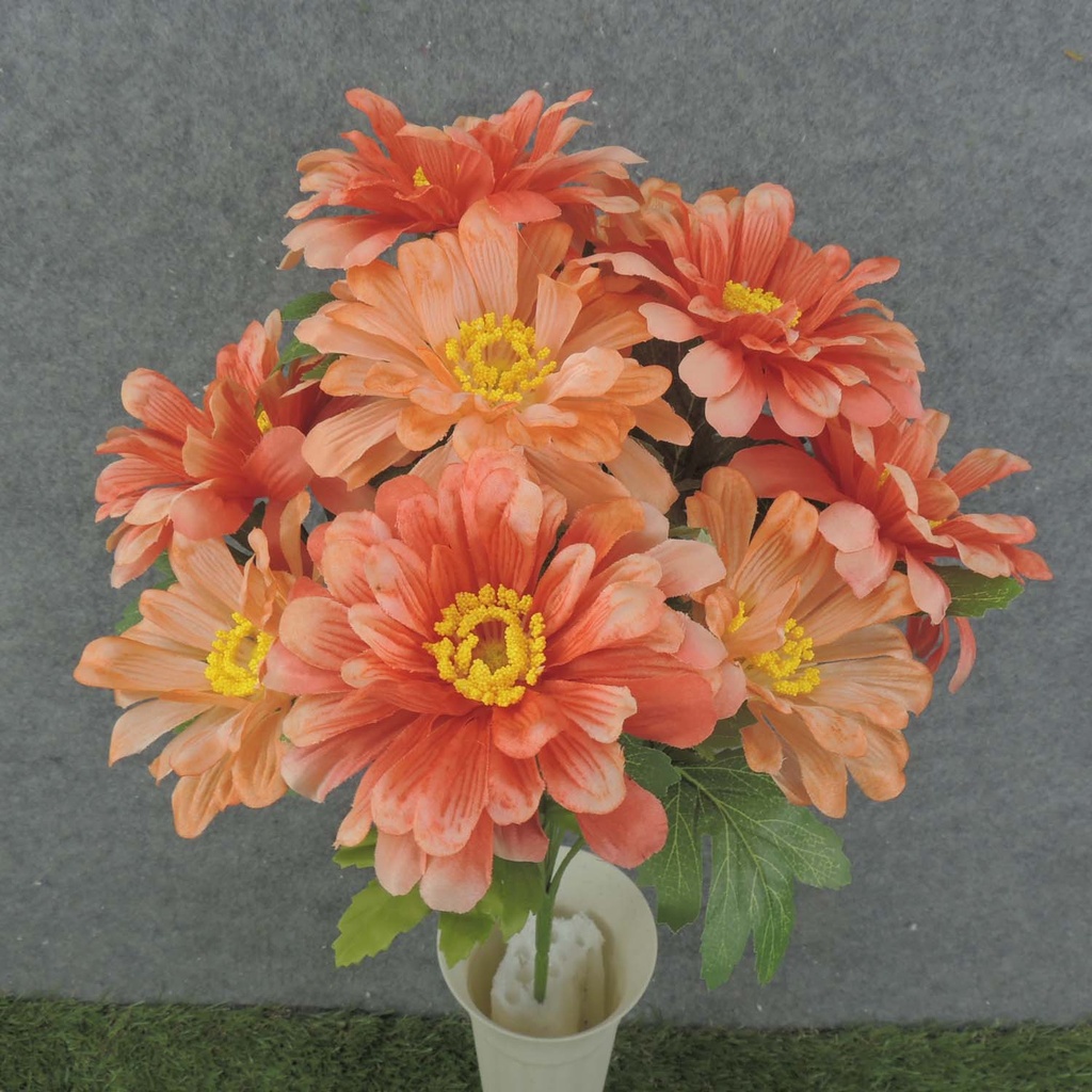 ZINNIA BUSH X10 17"  PEACH