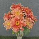 ZINNIA BUSH X10 17"  PEACH