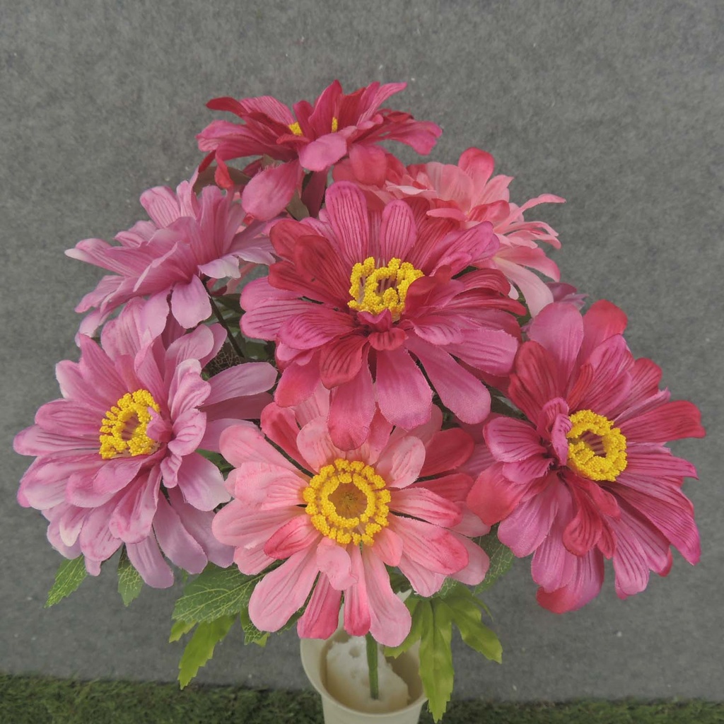 ZINNIA BUSH X10 17"  PINK