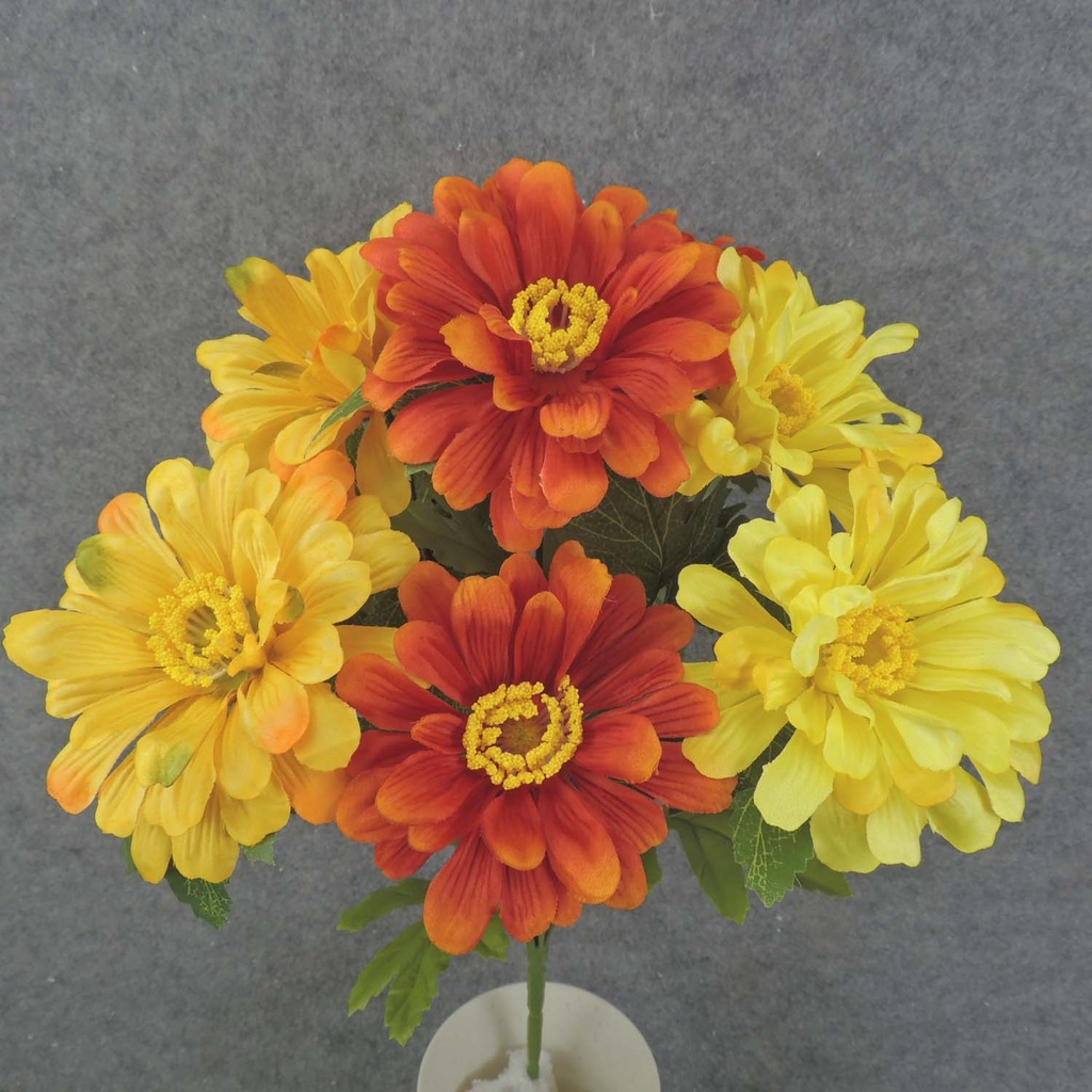 ZINNIA BUSH X10 17"  YELLOW/ORANGE