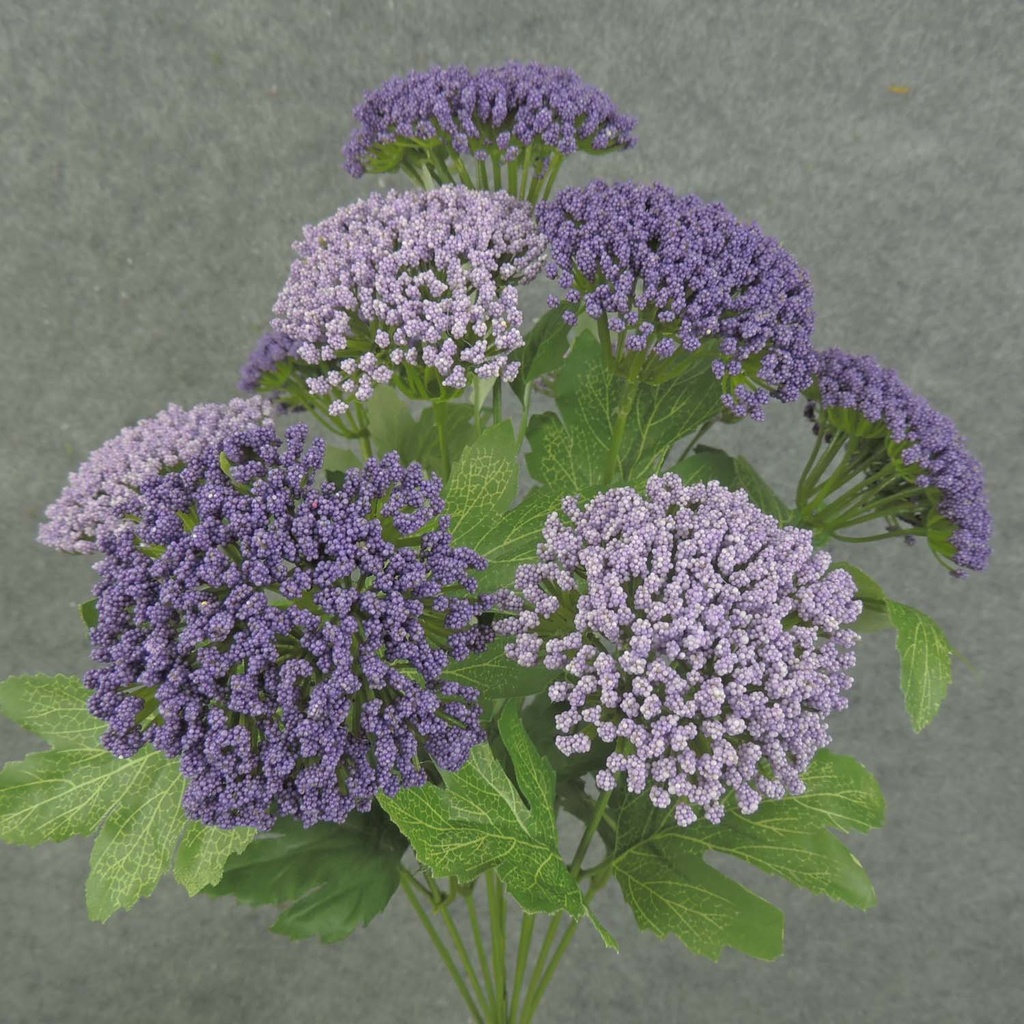 QUEEN ANN'S LACE BUSH 17" X9     PURPLE
