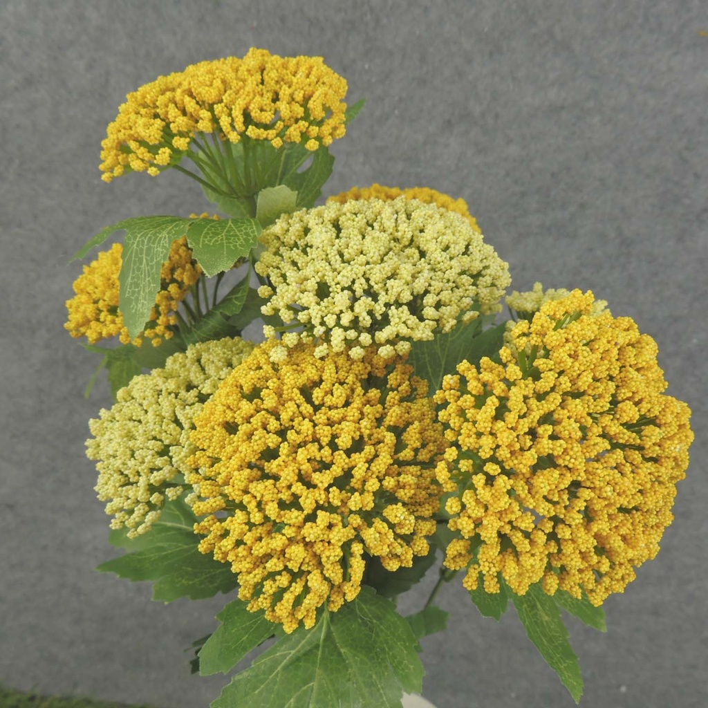 QUEEN ANN'S LACE BUSH 17" X9     YELLOW